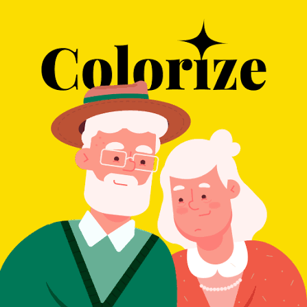 ImageColorizer